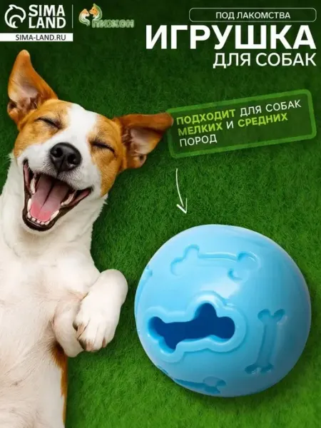 Игрушка для собак с лакомствами, TPR, голубая