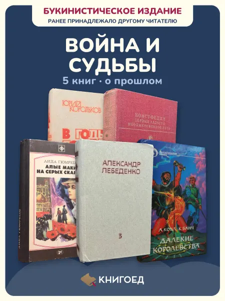 Книгоед Исторические романы Корольков Федин Аида Лебеденко Банч