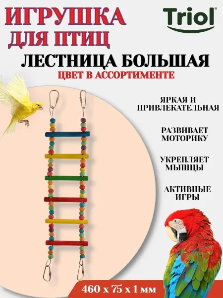 Triol Игрушка для птиц ЛЕСТНИЦА БОЛЬШАЯ цвет в ассортименте - 1 шт
