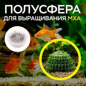 Шарик полусфера растение для посадки мха в аквариум