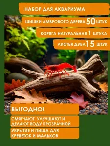 Декор для среднего аквариума: шишки амбрового дерева, коряга натуральная, листья дуба для аквариума