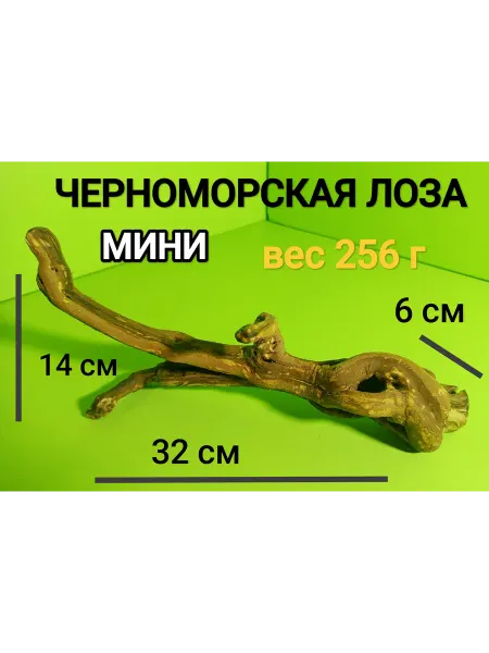 ЧЕРНОМОРСКАЯ ЛОЗА коряга для декора, аквариума, вольера, тер