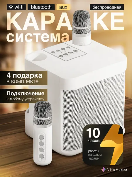 VitaMusica Караоке система беспроводная колонка с двумя микрофонами