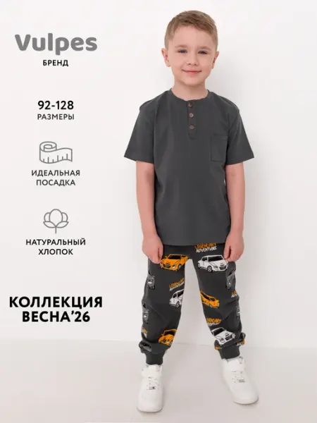 Vulpes Брюки трикотажные в садик