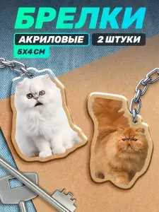 Акриловые брелки для ключей кот мем тик ток эх блин