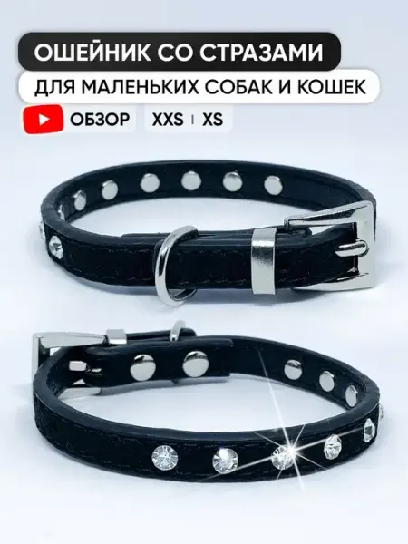 WHISKEY Кожаный ошейник для собак мелких пород и кошек