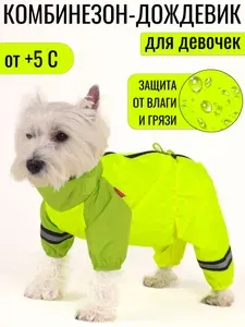 Дождевик для собак мелких пород Yoriki "Цитрон" девочка XL
