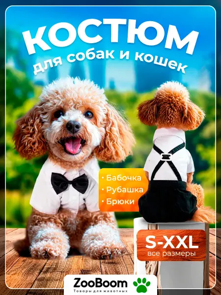 ZоoBоom Костюм для собак мелких пород смокинг комбинезон