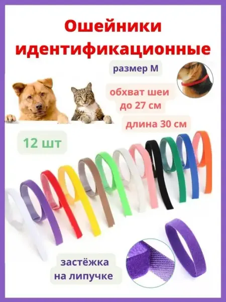 Zoodoly Ошейники идентификационные меточные для щенков и котят набор