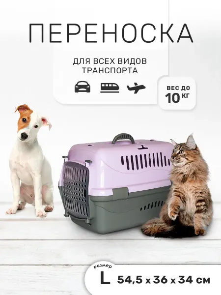 ZOOEXPRESS Переноска для кошек и собак мелких пород, для животных