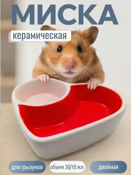 Zoohrum Миска для грызунов керамическая, хомяка и кролика