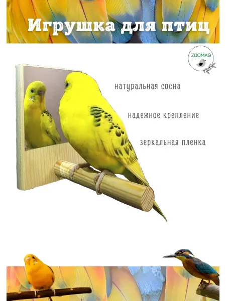 ZOOMAG Игрушка для попугая зеркало - наклейка