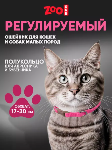 ZOOONE Ошейник нейлоновый для кошек и собак мелких пород