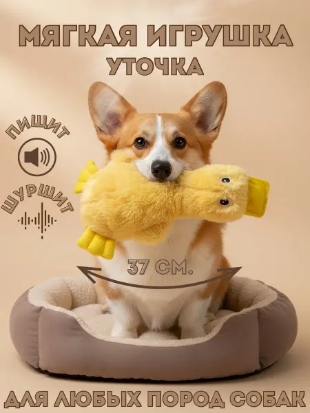 ZOTICO Мягкая игрушка для собак утка
