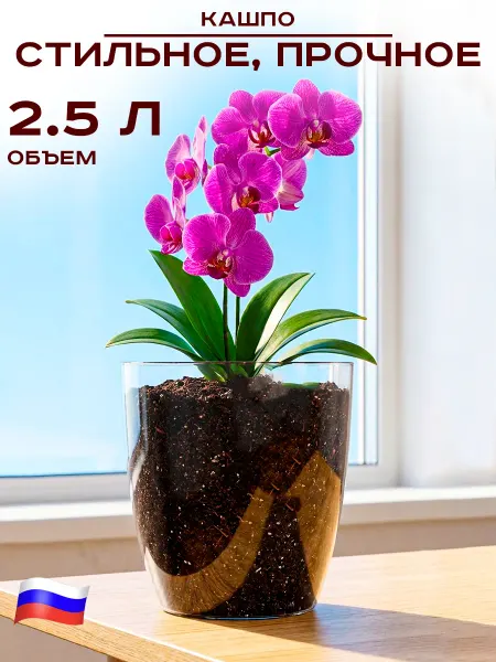 GT Кашпо для орхидеи 2.5 л