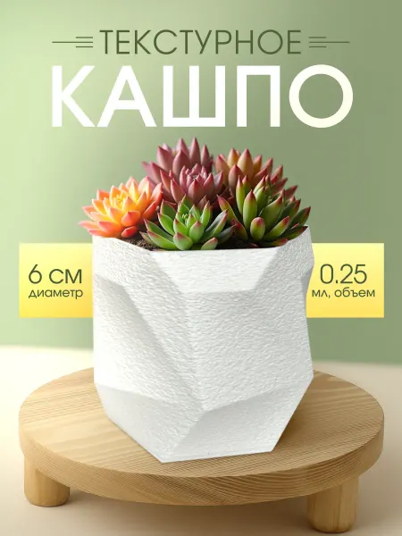 Кашпо текстурное для суккулентов