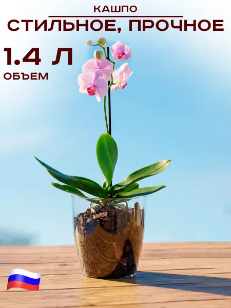 GT Кашпо для орхидеи 1.4 л