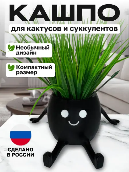 Горшок для цветов кактусов и суккулентов