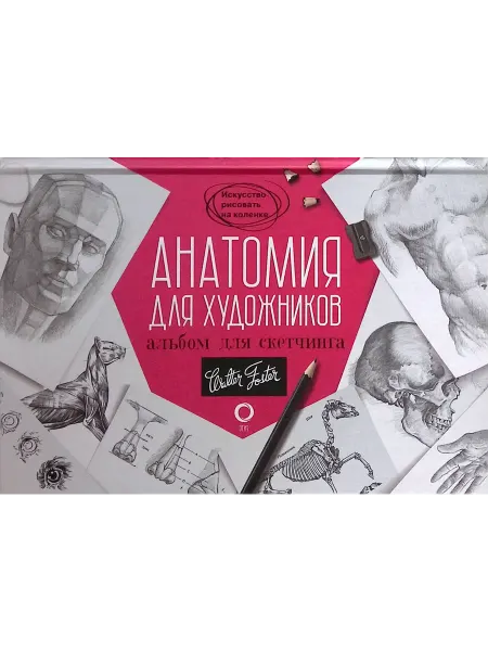 Издательство АСТ Анатомия для художников. Альбом для скетчинга
