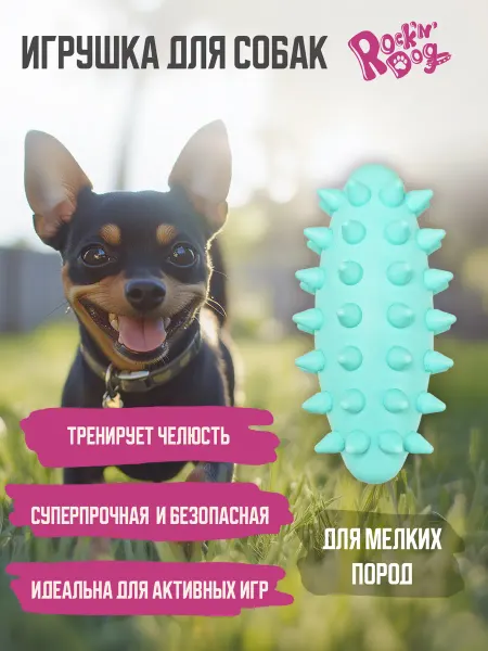 Альпина Пласт Игрушка для собак мелких и средних пород