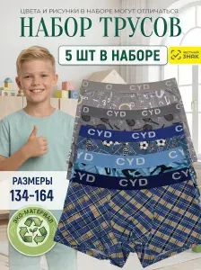 Трусы боксеры SunState Трусы детские, 5 шт