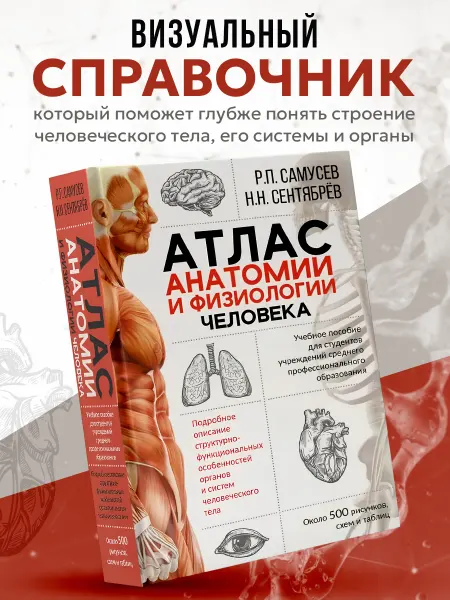 АСТ Атлас физиологии и анатомии человека. Учебное пособие