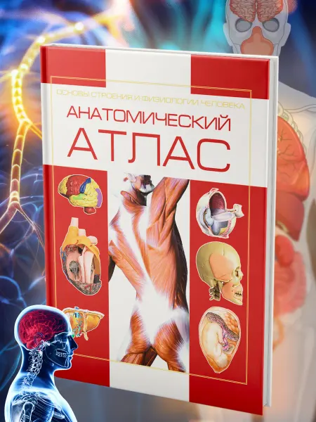 Харвест Книга Атлас анатомии человека, основы строения и физиология