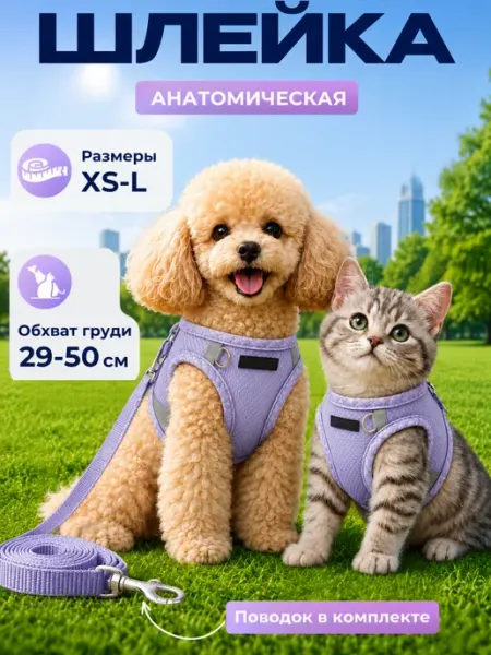 Ареал Шлейка для кошек и собак анатомическая с поводком