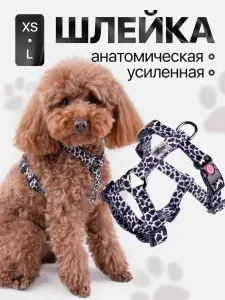 Шлейка анатомическая зебра для собак мелких и средних пород