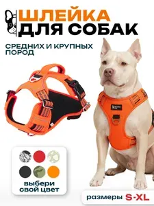 Шлейка для собак средних и крупных пород анатомическая / оранжевый / размер S