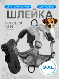 Шлейка для собак мелких и средних пород, с поводком, анатомическая, светоотражающая, серая