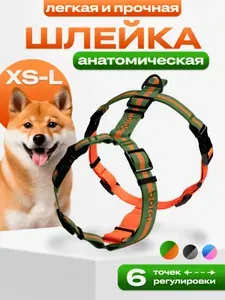 Шлейка анатомическая для собак мелких пород, размер XS-S, цвет зеленый