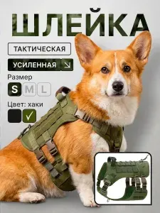 Шлейка; для собак мелких пород; S; для шпица; анатомическая; усиленная