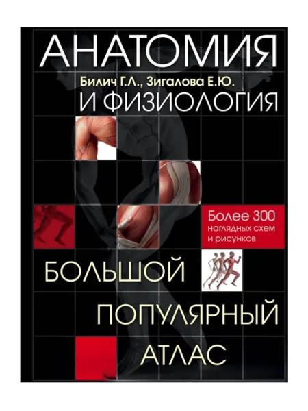 Анатомия и физиология, Большой популярный атлас, Билич Г.Л., Зигалова Е.Ю.
