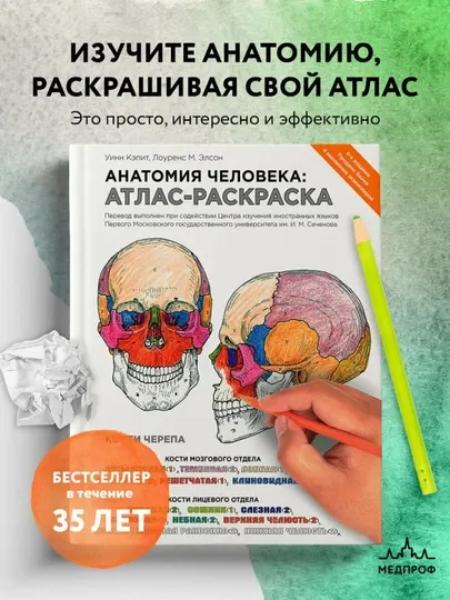 Анатомия человека: атлас - раскраска, Уинн Кэпит