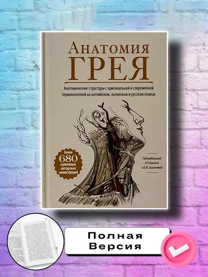 Анатомия Грея, Габриэль Билич, Елена Зигалова
