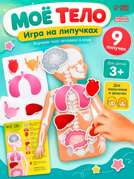 Весёлые липучки Развивающая игра детская на липучках Моё тело анатомия