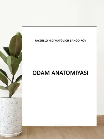 Учебник Анатомия человека, для студентов медицинских вузов и колледжей