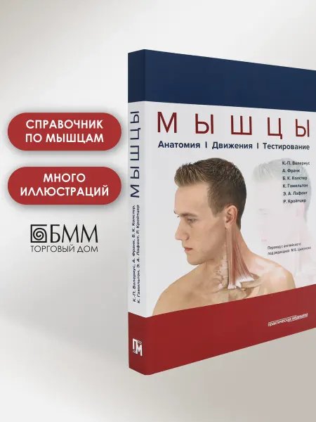 Практическая медицина Мышцы. Анатомия. Движения. Тестирование