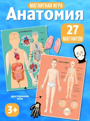 Развивающая магнитная игра Анатомия для детей. Магнитные истории Десятое королевство