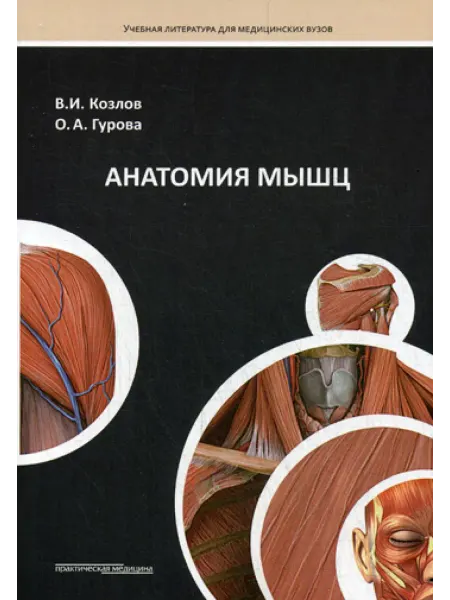 Практическая медицина Анатомия мышц Учебное пособие
