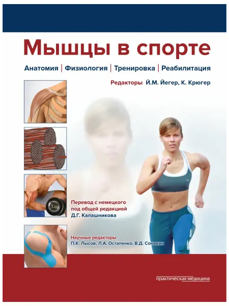 Практическая медицина Мышцы в спорте Анатомия Физиология Тренировки Реабилитация
