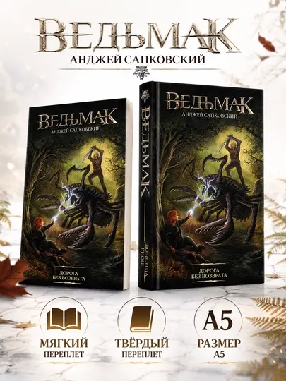 Ведьмак. Дорога без возврата - Анджей Сапковский