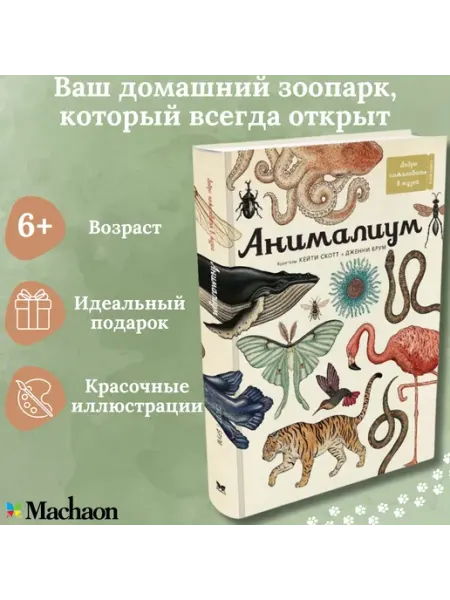 Издательство Махаон Энциклопедия про животных Анималиум