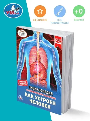 Энциклопедия для детей с заданиями Тело человека Умка / развивающая книга детская | Козырь Анна