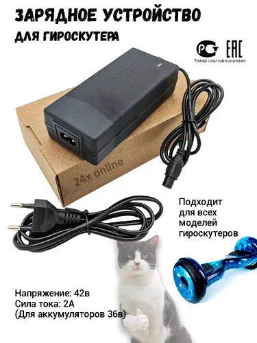 Зарядное устройство для гироскутера