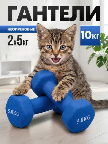 Гантели неопреновые БЛИН-да-ГРИФ, 5 кг, 2 шт, синие