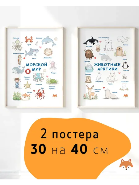 Лисичкины истории Плакат Морской мир и Животные арктики