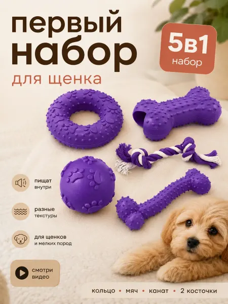 ГавГарин Набор игрушек для собак 5 штук