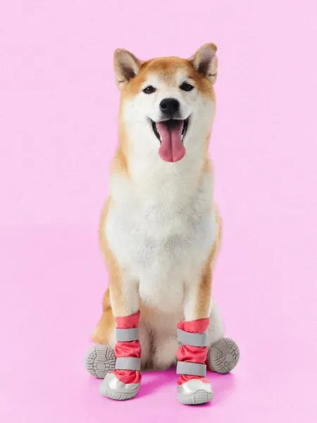 WOOF WOOF Обувь для собак